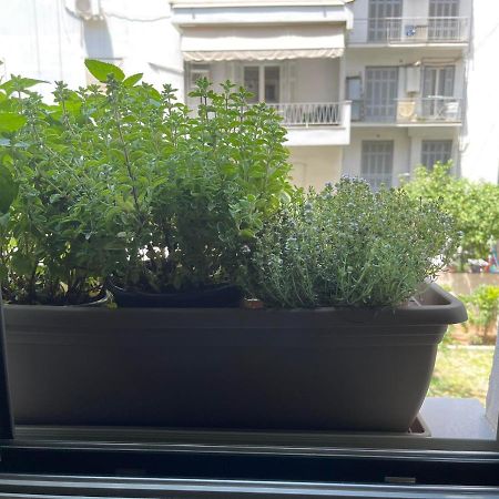 Sapfo Luxury Apartment 1 In Athen Eksteriør billede